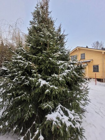 Готовый дом из клеёного бруса 195 м² в деревне Тефаново