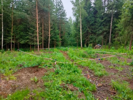 Подготовка к строительству дома в Ермолино: старт нового проекта Океан Хаус.